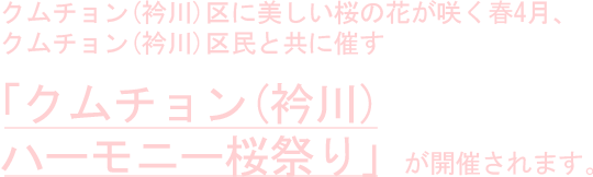 クムチョン(衿川)区に美しい桜の花が咲く春4月、クムチョン(衿川)区民と共に催す「クムチョン(衿川)ハーモニー桜祭り」が開催されます。